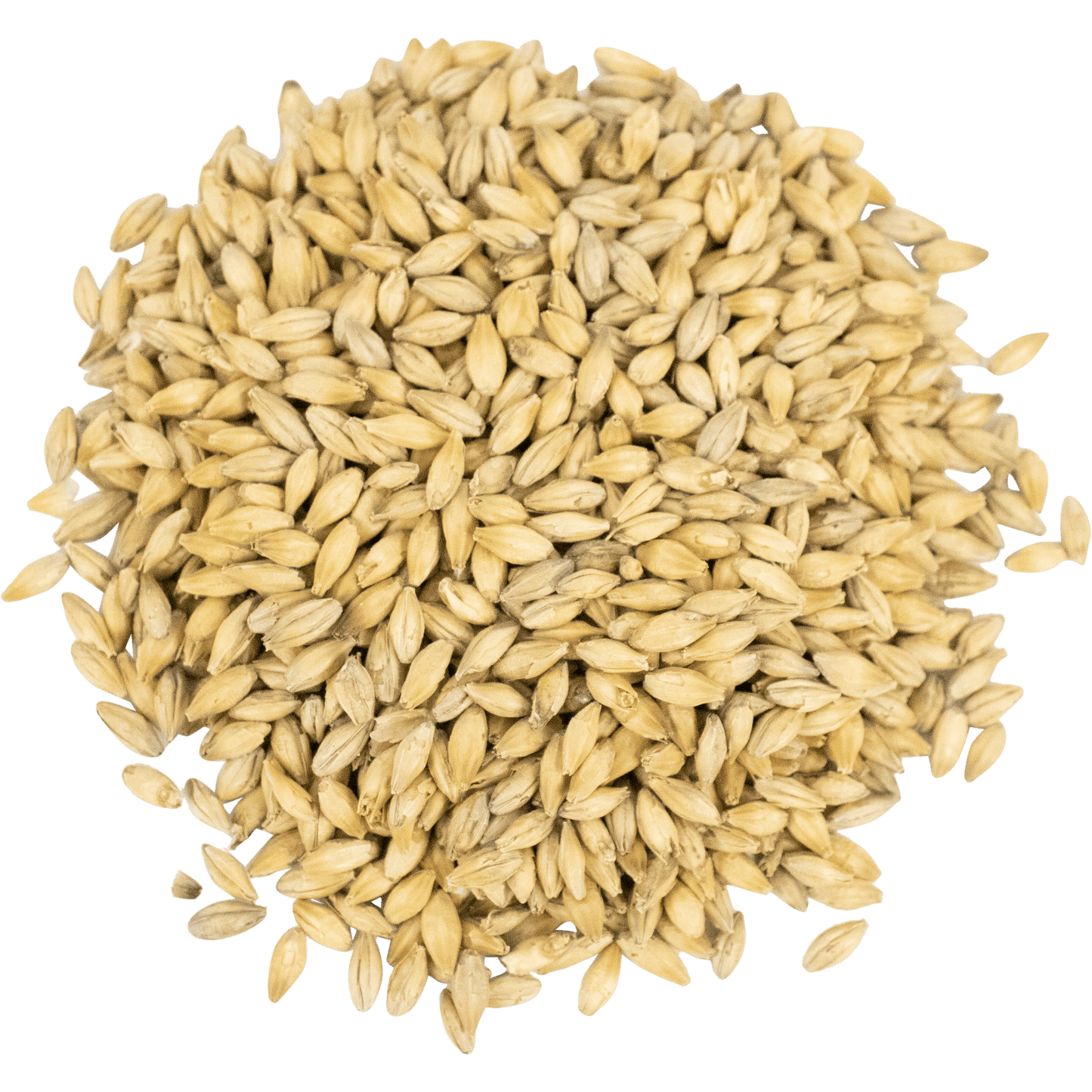 Malt - Viking Malt - Pilsner Zero (55 lb Sack) - 1G