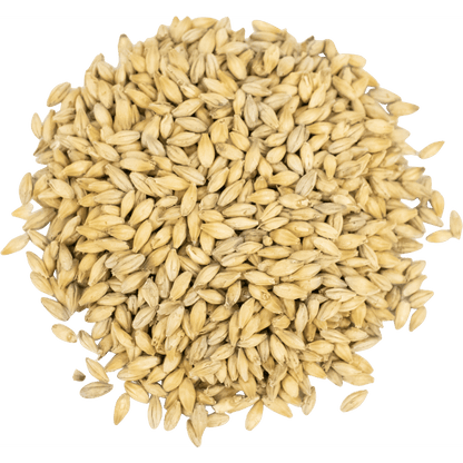 Malt - Viking Malt - Pilsner Zero (55 lb Sack) - 1G