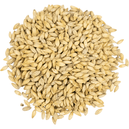 Malt - Viking Malt - Pilsner Zero (55 lb Sack) - 1G