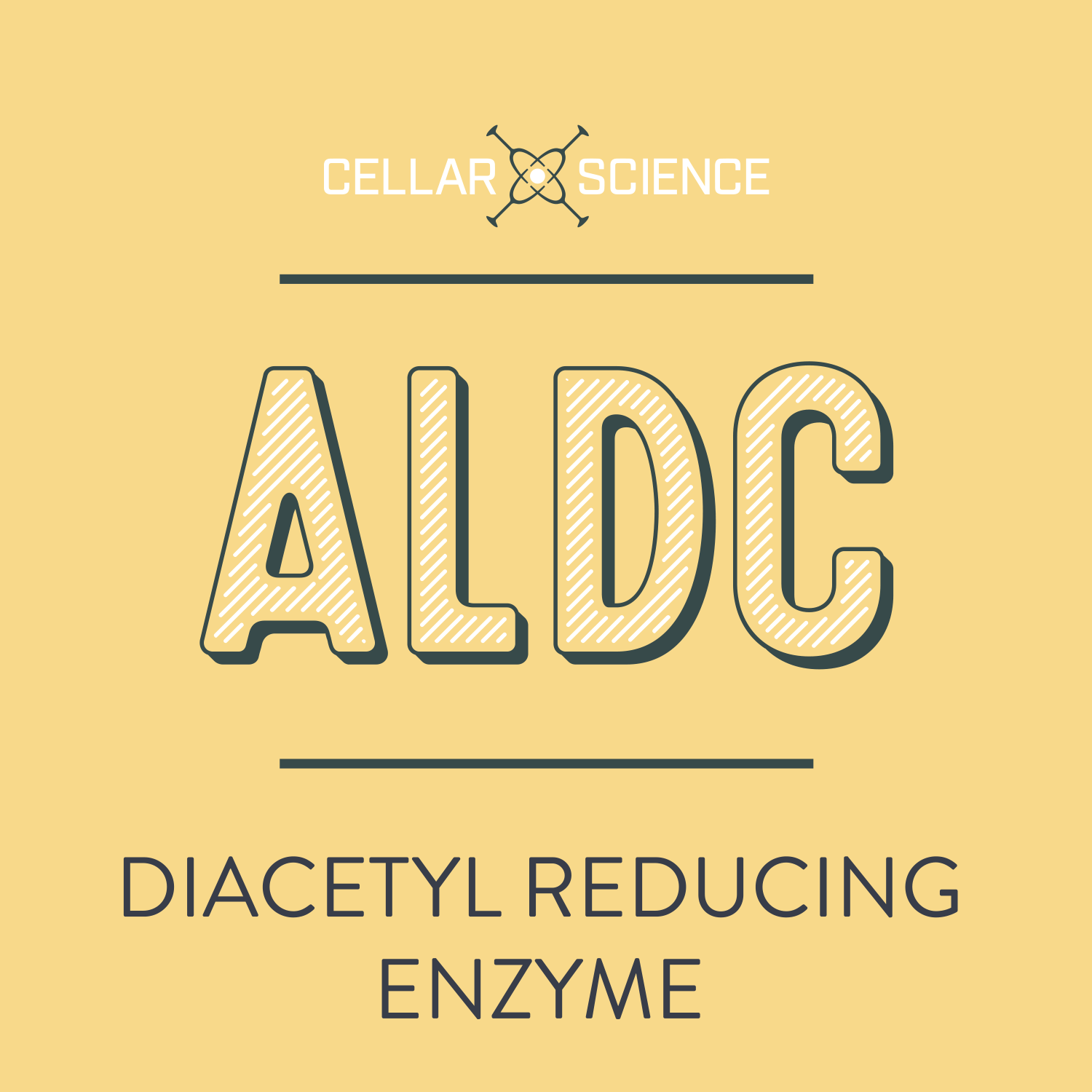 CellarScience - ALDC Enzyme - 8 fl oz