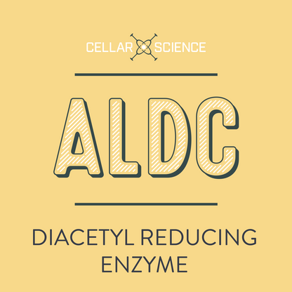 CellarScience - ALDC Enzyme - 8 fl oz