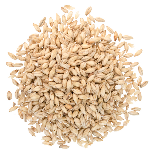 Malt - Briess - Brewers Malt 2-Row (50 lb Sack)