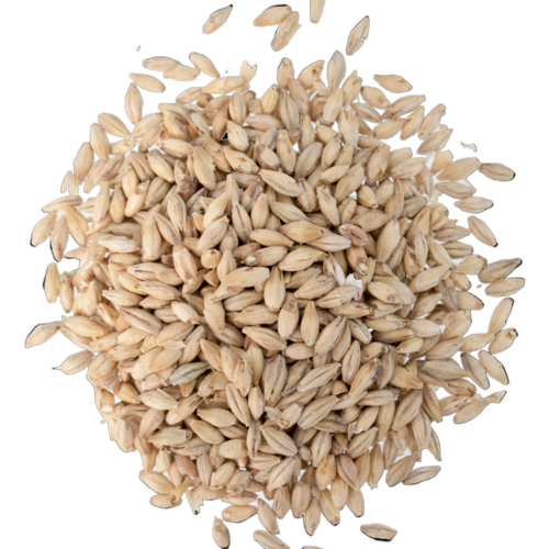 Malt - Rahr - North Star Pils (55 lb Sack)