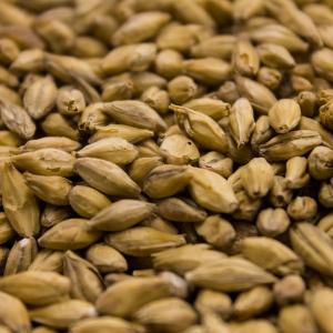 Malt - Weyermann - Barke Pilsner (55 lb Sack)