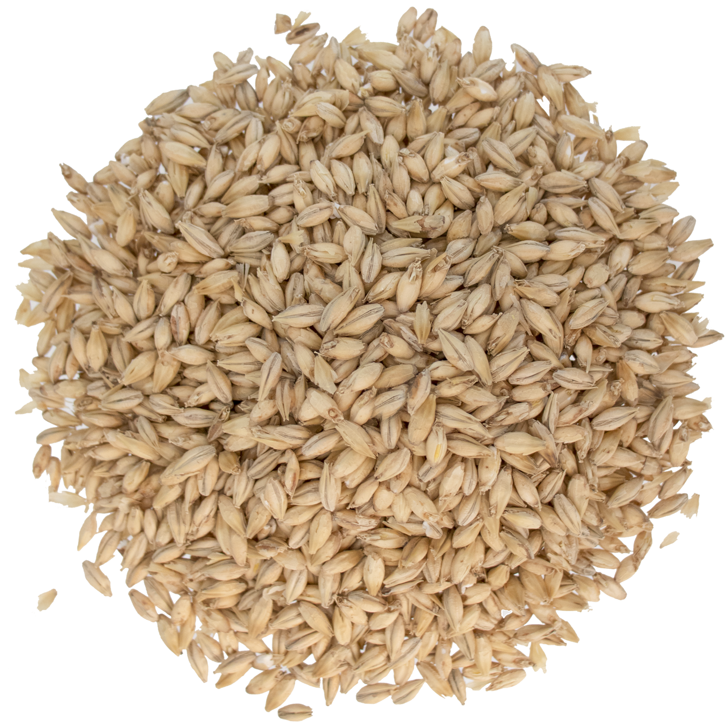 Malt - Briess Pilsen (50 lb Sack)