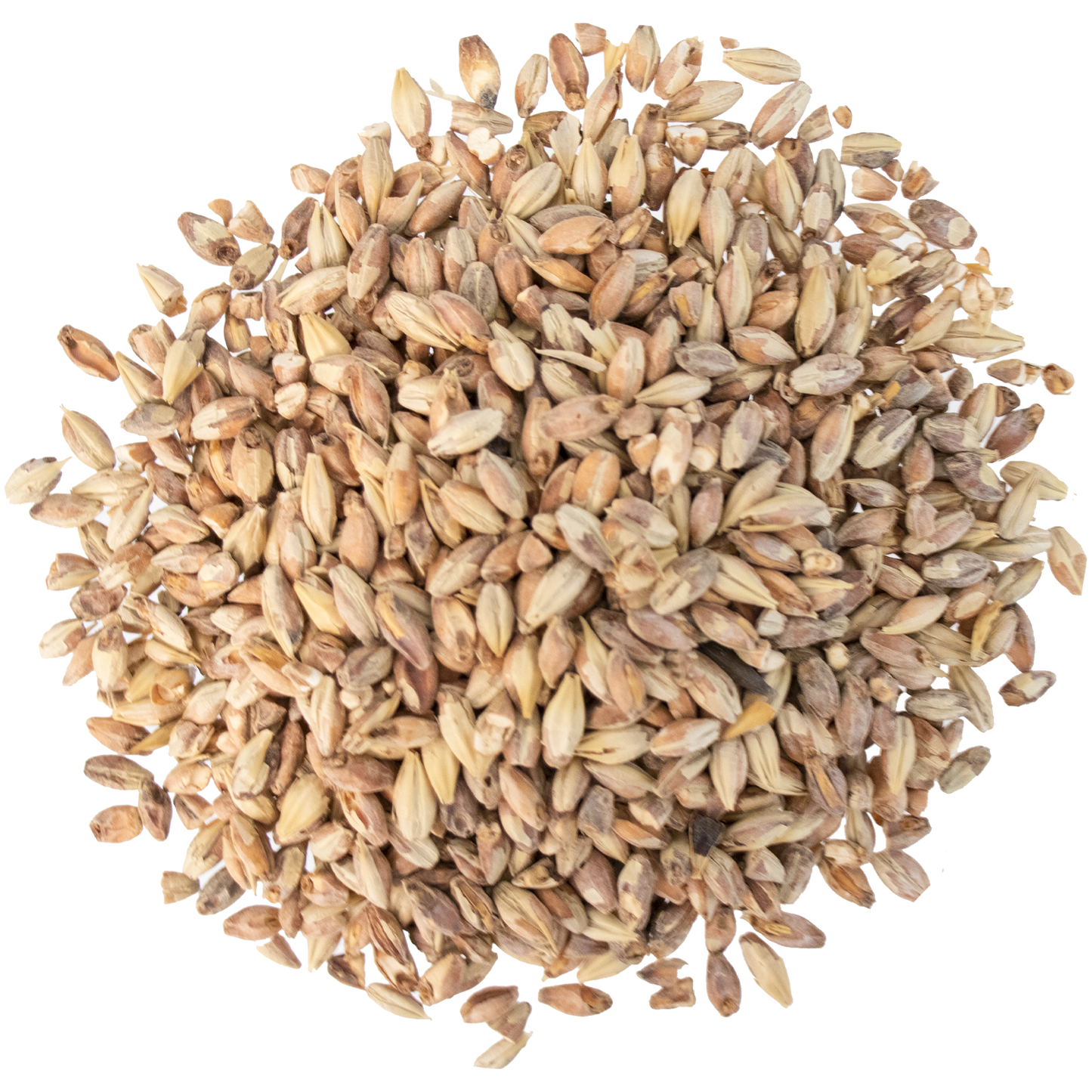 Malt - Briess Bonlander Munich  (50 lb Sack)