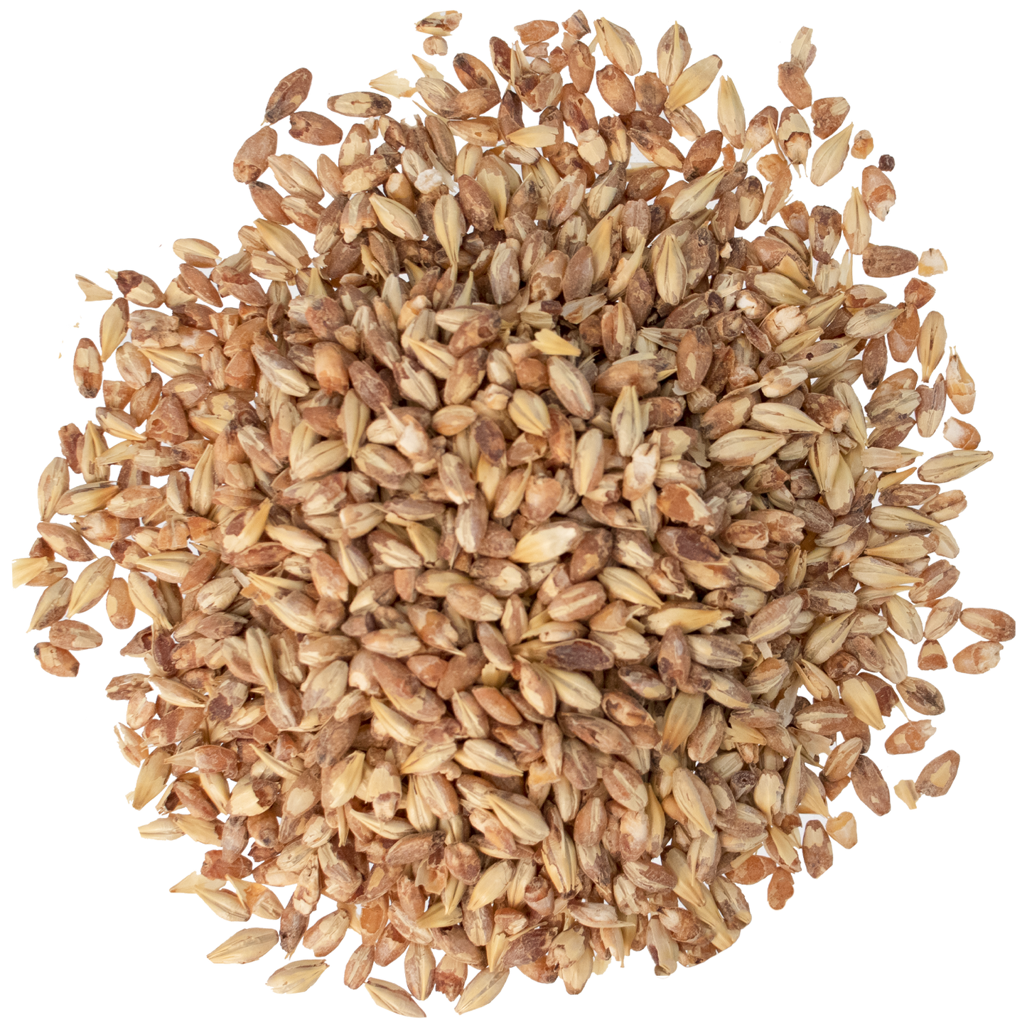 Malt - Briess - Caramel 20L (50 lb Sack)