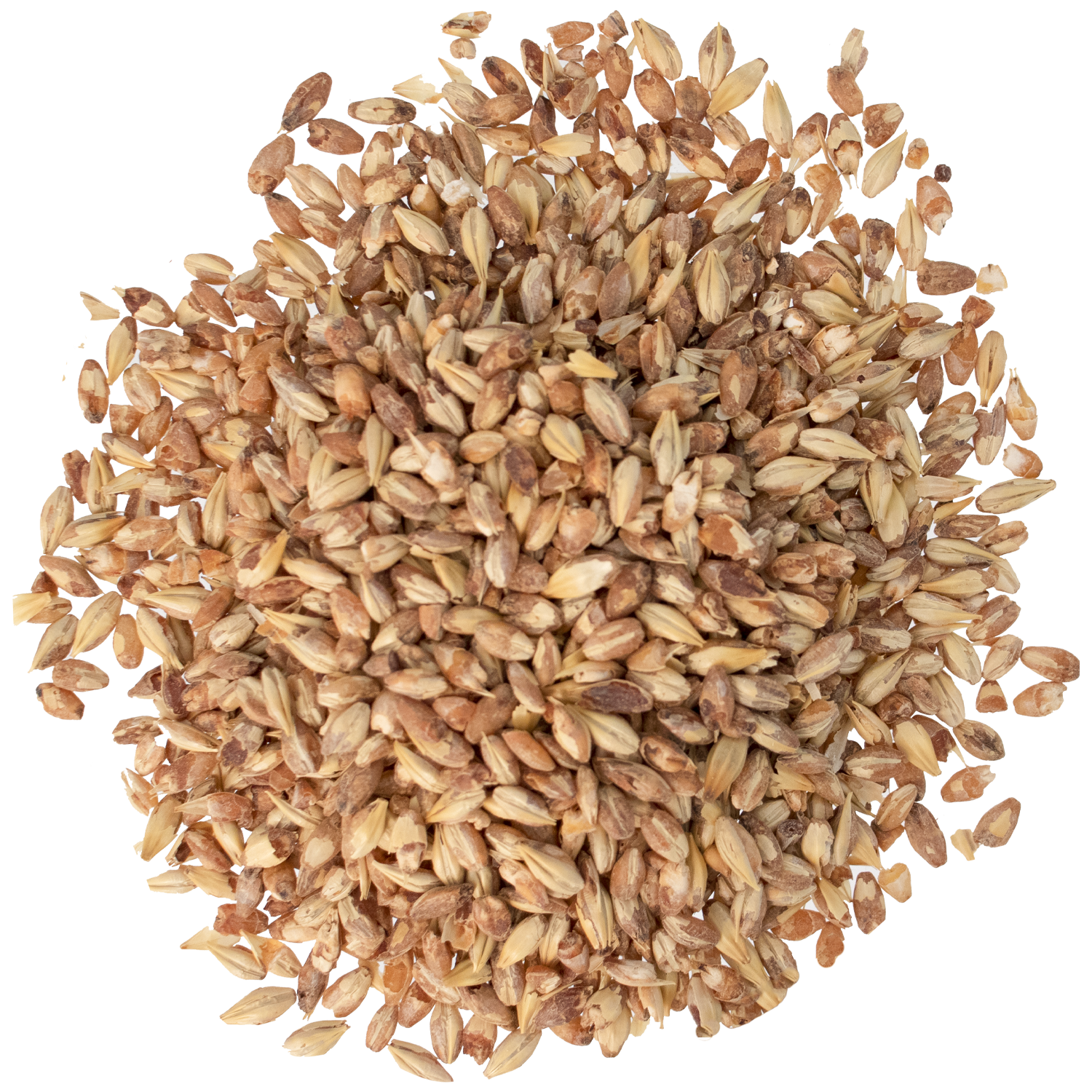 Malt - Briess - Caramel 20L (50 lb Sack)