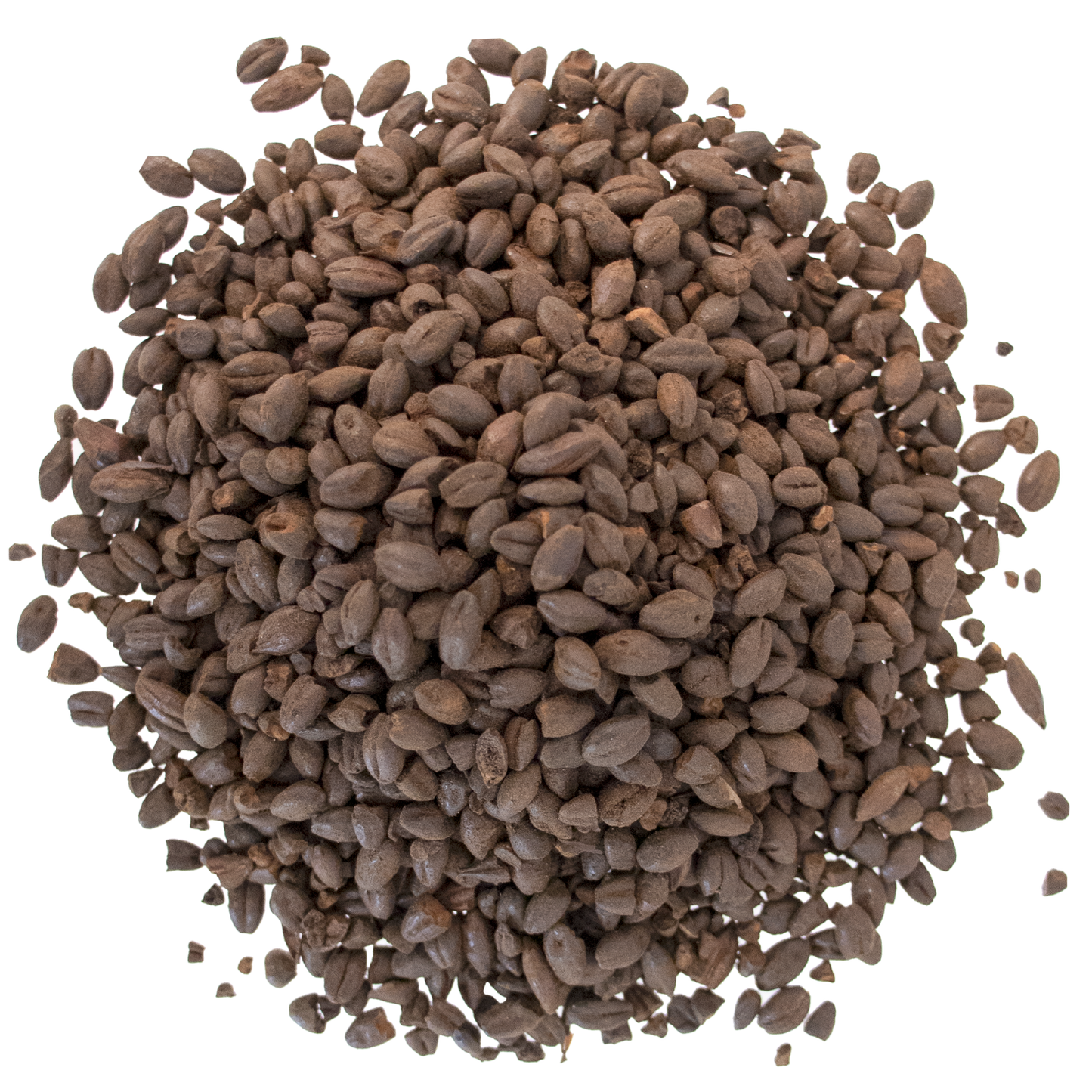 Malt - Briess - Blackprinz (50 lb Sack)