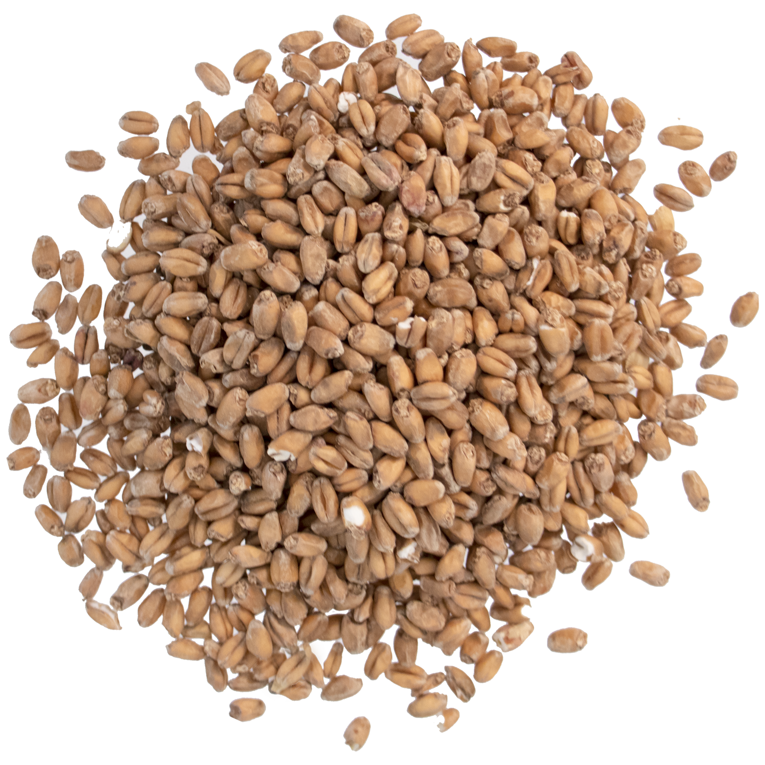 Malt - Briess Red Wheat (50 lb Sack)