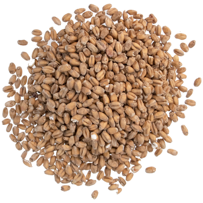 Malt - Briess Red Wheat (50 lb Sack)