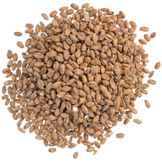 Malt - Briess Red Wheat (50 lb Sack)