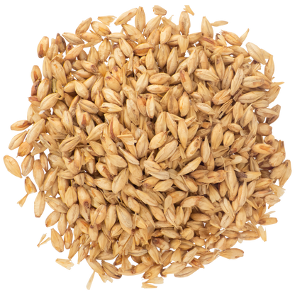 Malt - Briess - Cherrywood Smoked (50 lb Sack)
