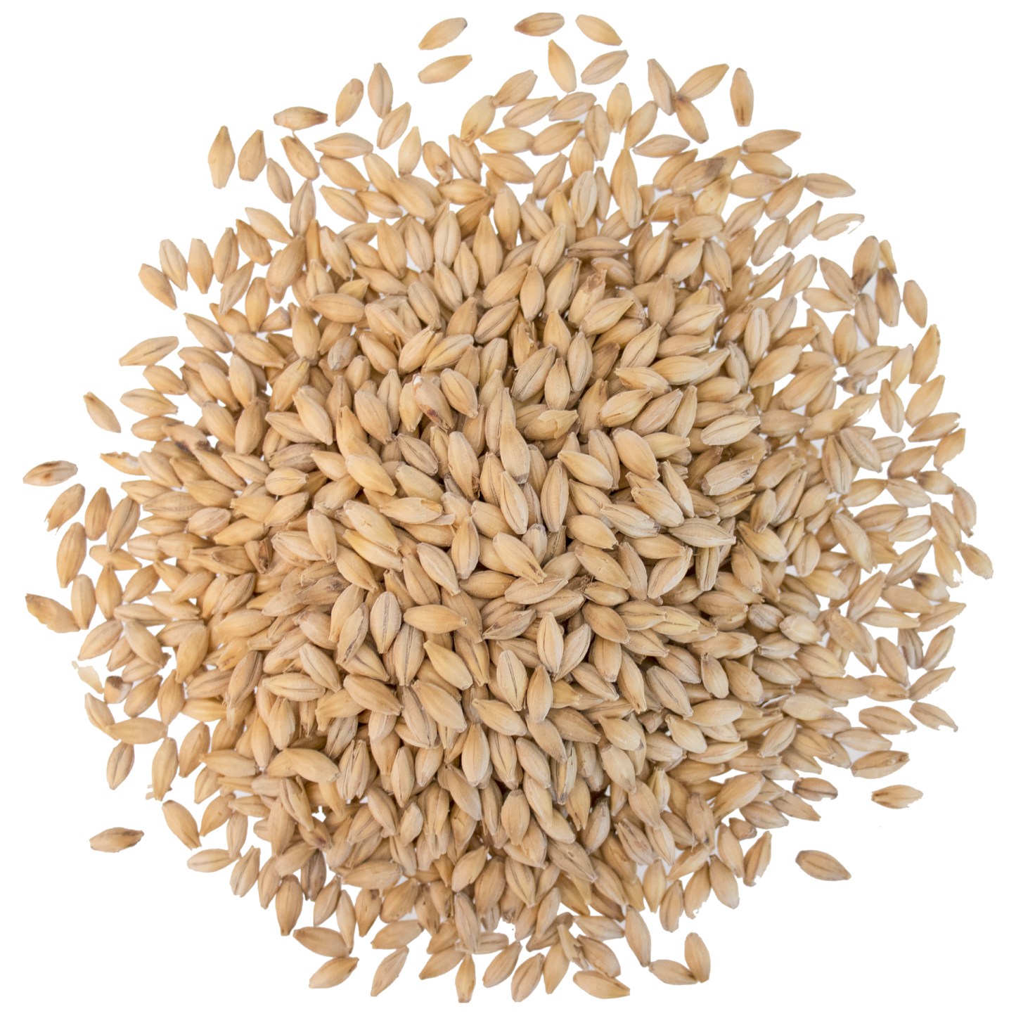 Malt - Crisp - No. 19 Floor Malted Maris Otter (55 lb Sack)