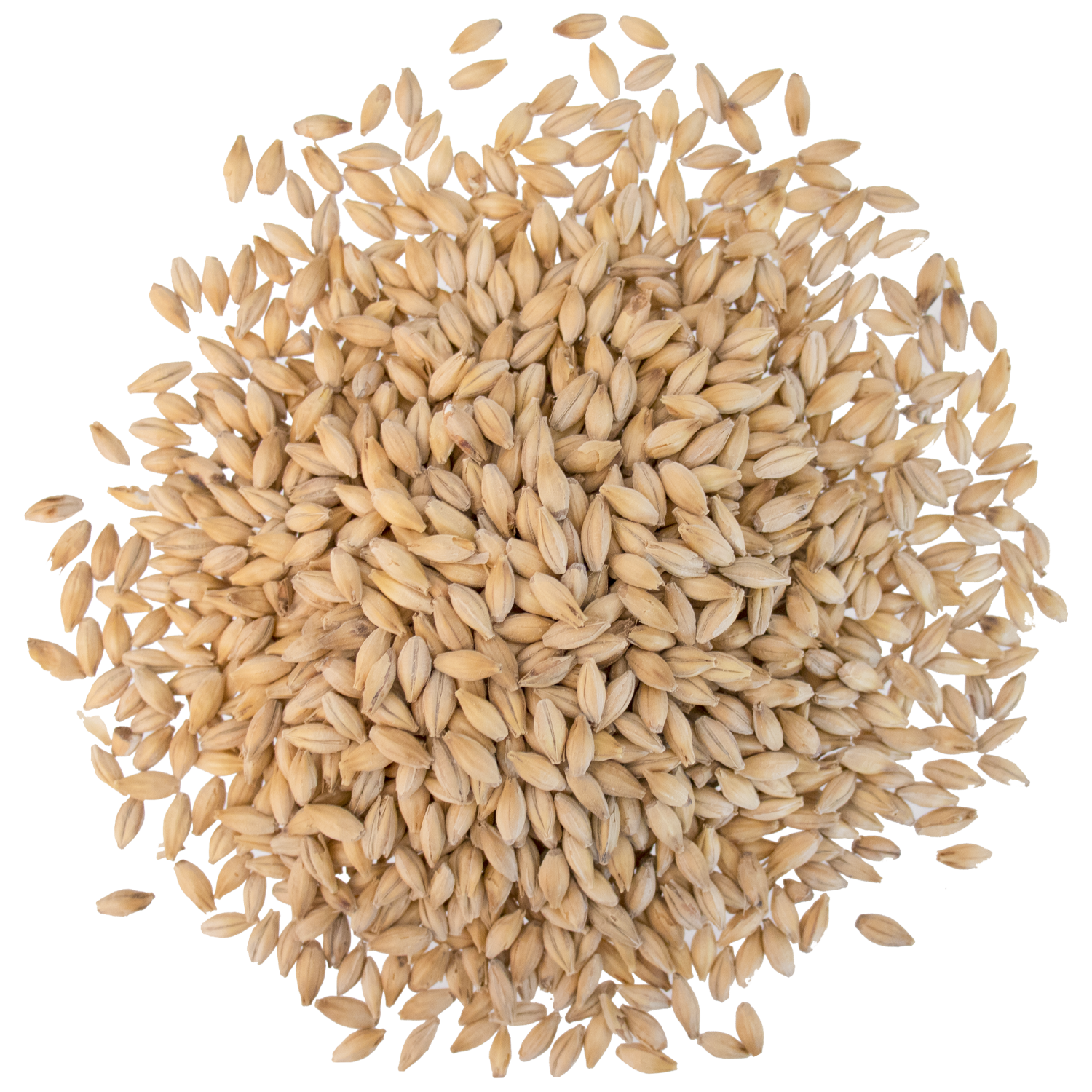 Malt - Crisp - No. 19 Floor Malted Maris Otter (55 lb Sack)