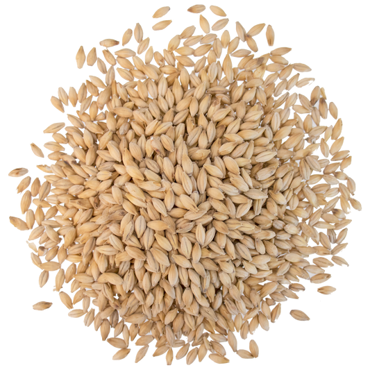 Malt - Crisp - No. 19 Floor Malted Maris Otter (55 lb Sack)