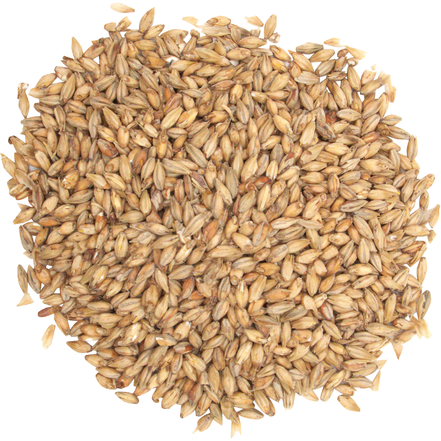 Malt - Briess - Ashburne Mild (50 lb Sack)