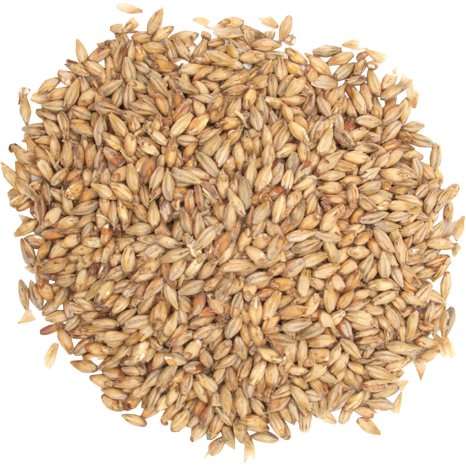 Malt - Briess - Ashburne Mild (50 lb Sack)