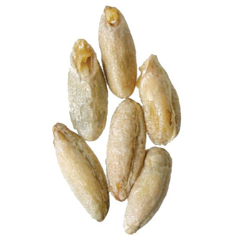 Malt - Briess - Rye (50 lb Sack)