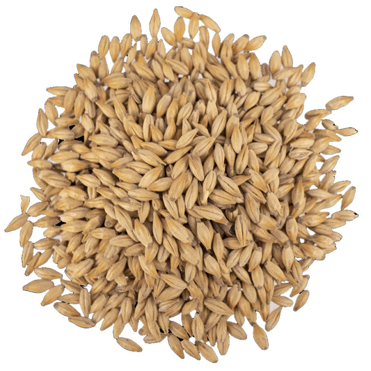 Malt - Viking Malt - Caramel 30 (55 lb Sack)