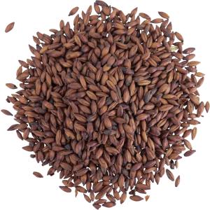 Chocolate Malt | Viking Malt | 55 LB Sack